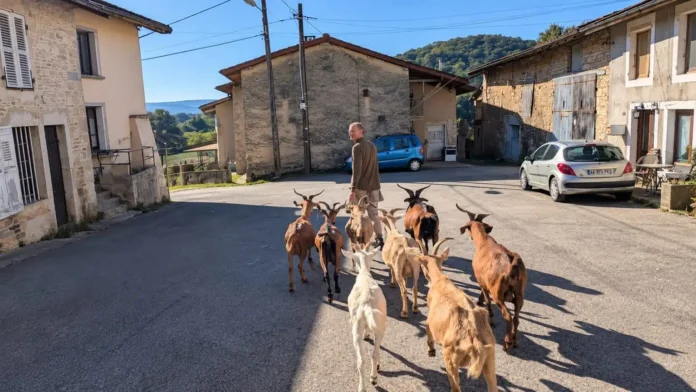 fazendafranca-1536x864.jpg